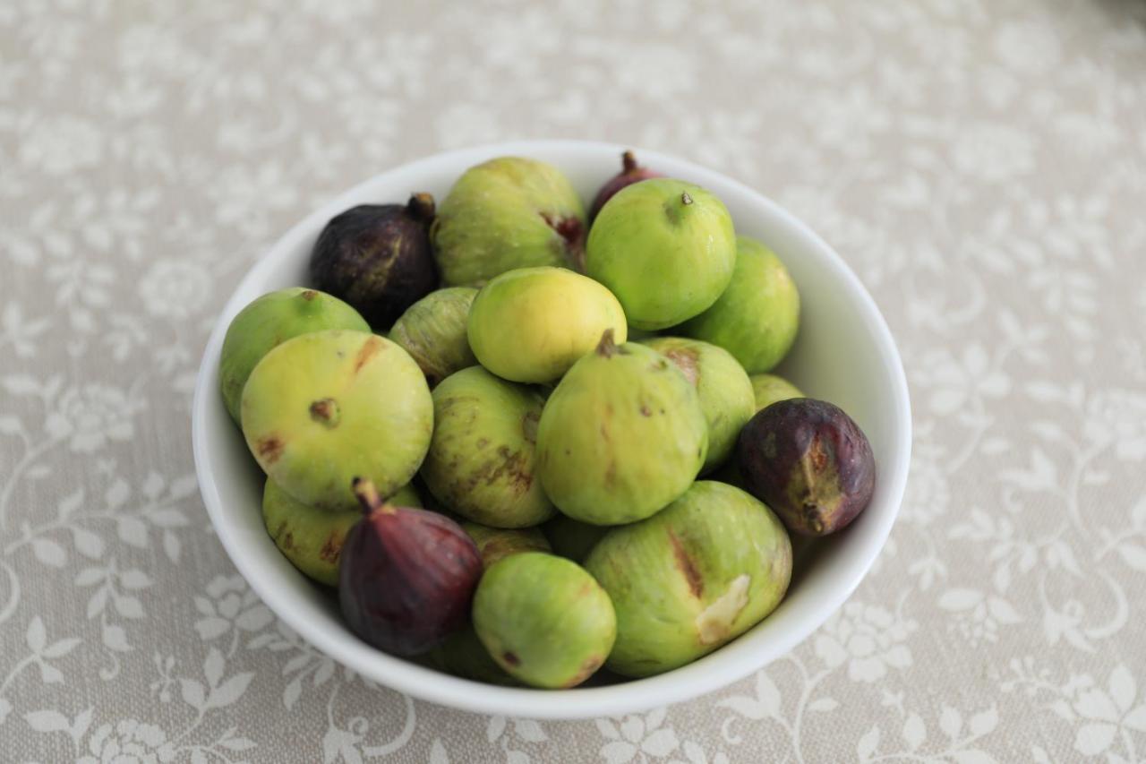 Meraviglie Del Salento 切萨雷奥港 外观 照片